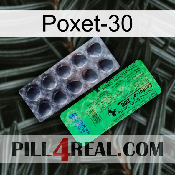 Poxet-30 new04.jpg